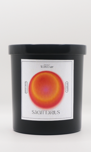 Sagittarius 2.0 ♐